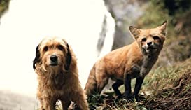 がんばれ！がんばれ！ベンジーの画像