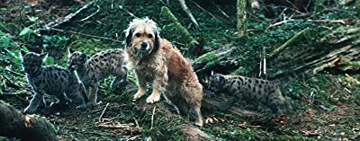 がんばれ！がんばれ！ベンジーの画像