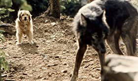 がんばれ！がんばれ！ベンジーの画像