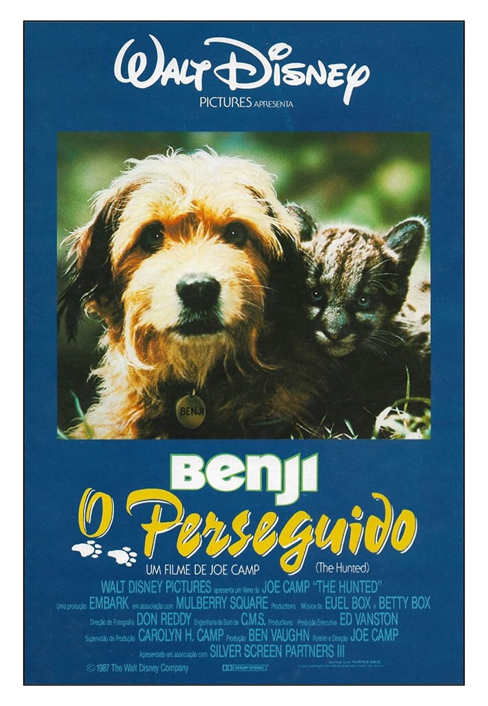 がんばれ！がんばれ！ベンジーの画像