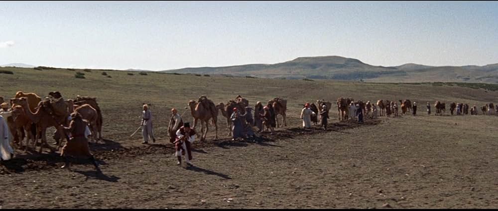 熱砂の舞の画像