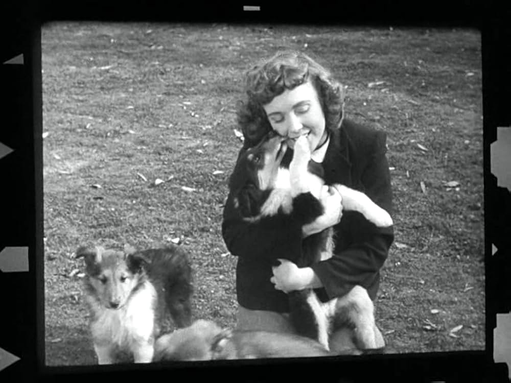 武装市街の画像