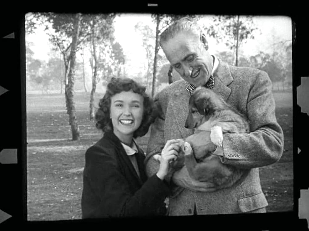 武装市街の画像