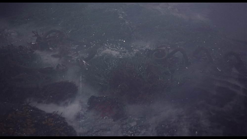 「魔獣大陸」の画像