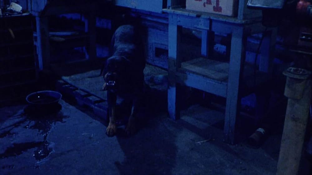 リトリビューションの画像