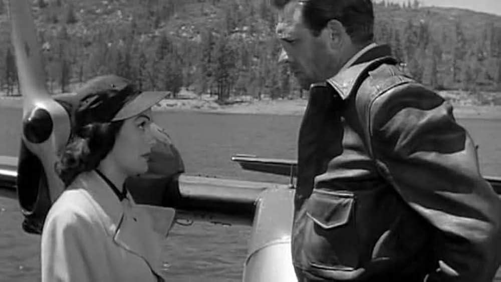 望みなき捜索の画像