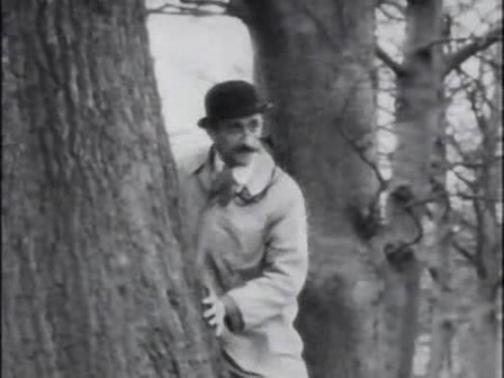 とんだりはねたりとまったりの画像