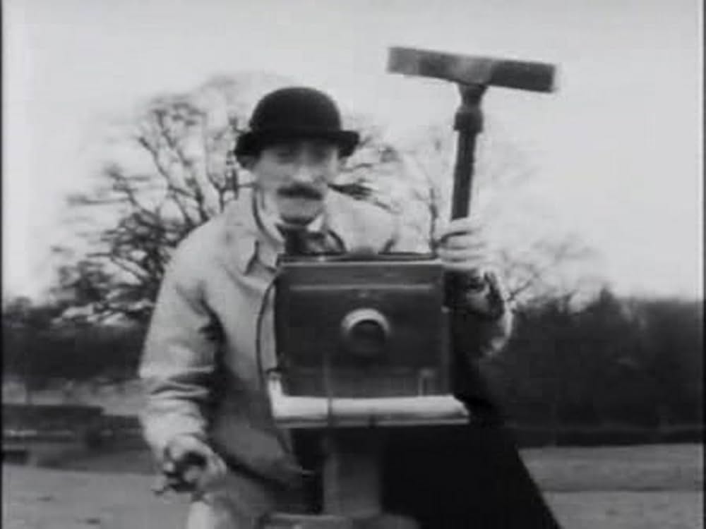 とんだりはねたりとまったりの画像