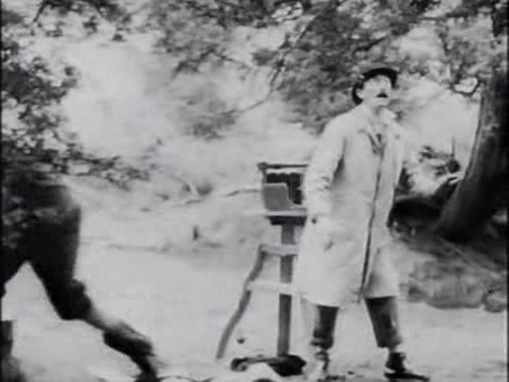 とんだりはねたりとまったりの画像