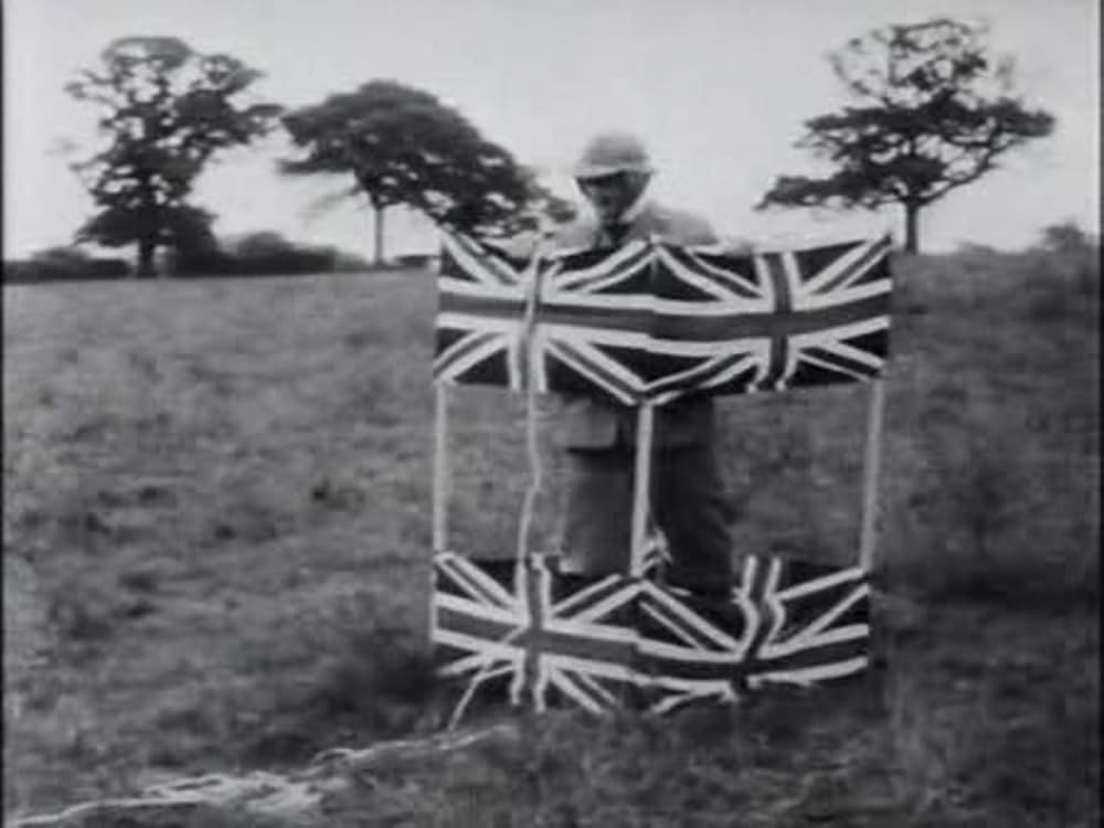 とんだりはねたりとまったりの画像