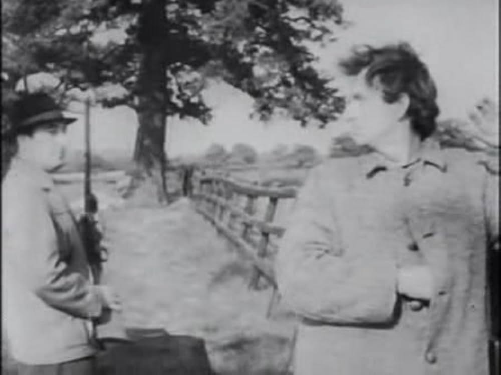 とんだりはねたりとまったりの画像