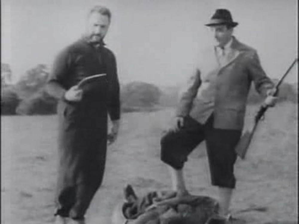 とんだりはねたりとまったりの画像