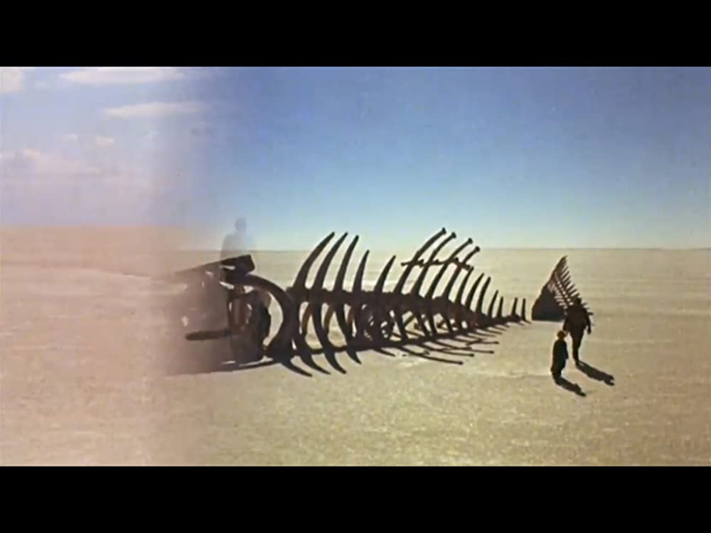 星の王子さまの画像