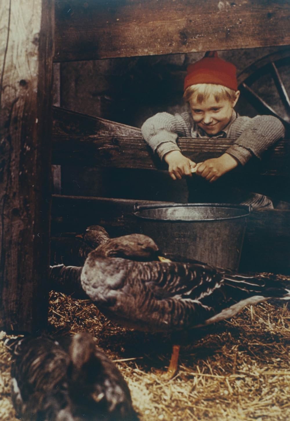 すばらしい世界旅行の画像