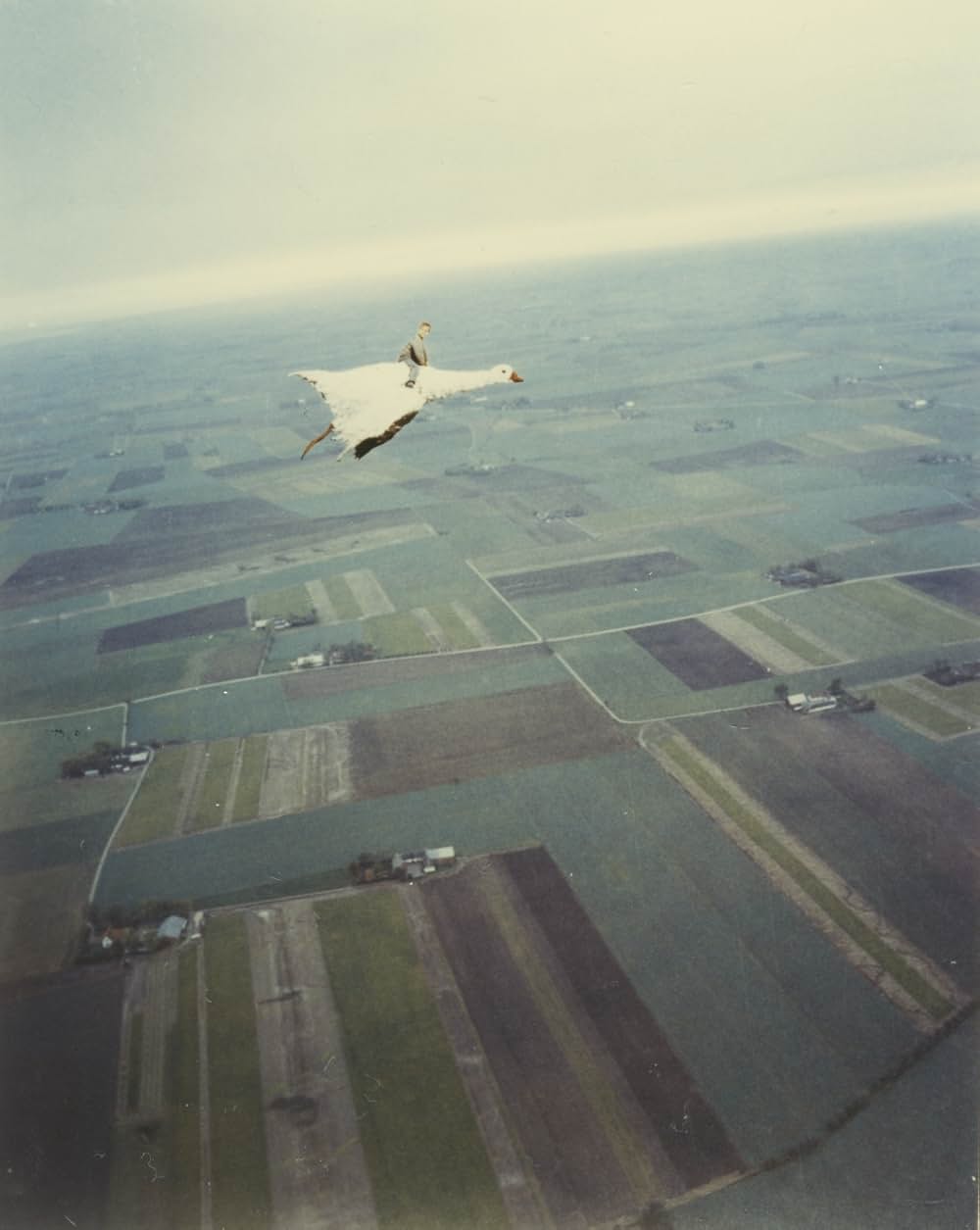 すばらしい世界旅行の画像