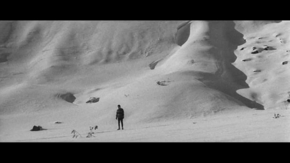 樹氷のよろめきの画像