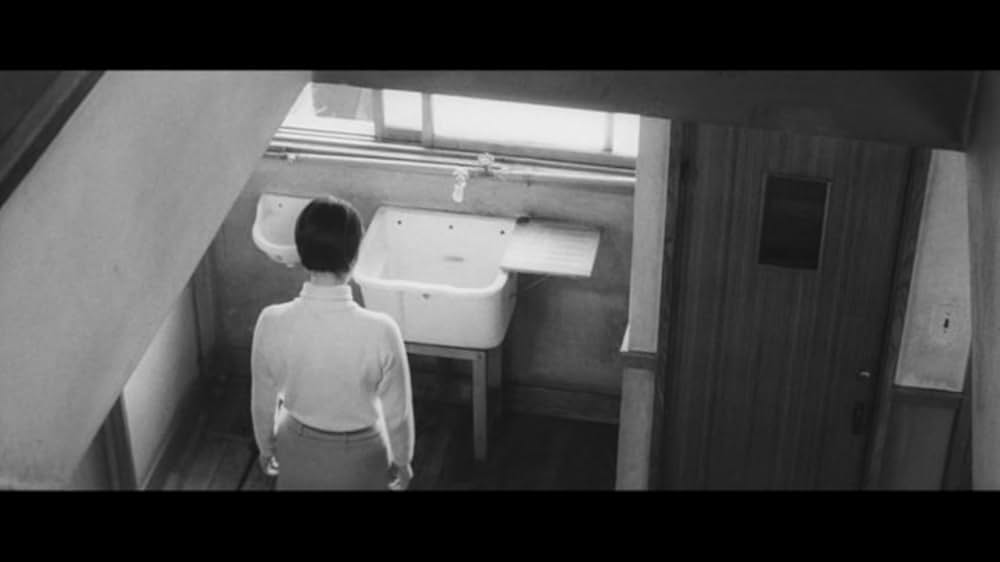 樹氷のよろめきの画像