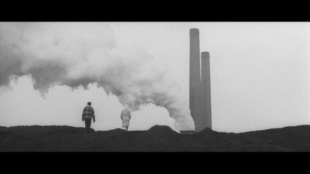 樹氷のよろめきの画像