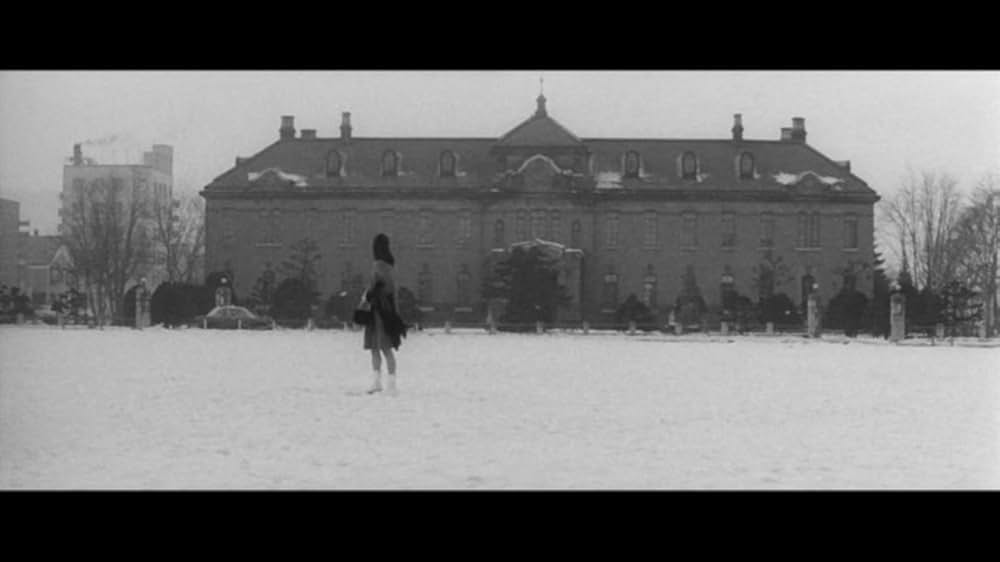 樹氷のよろめきの画像