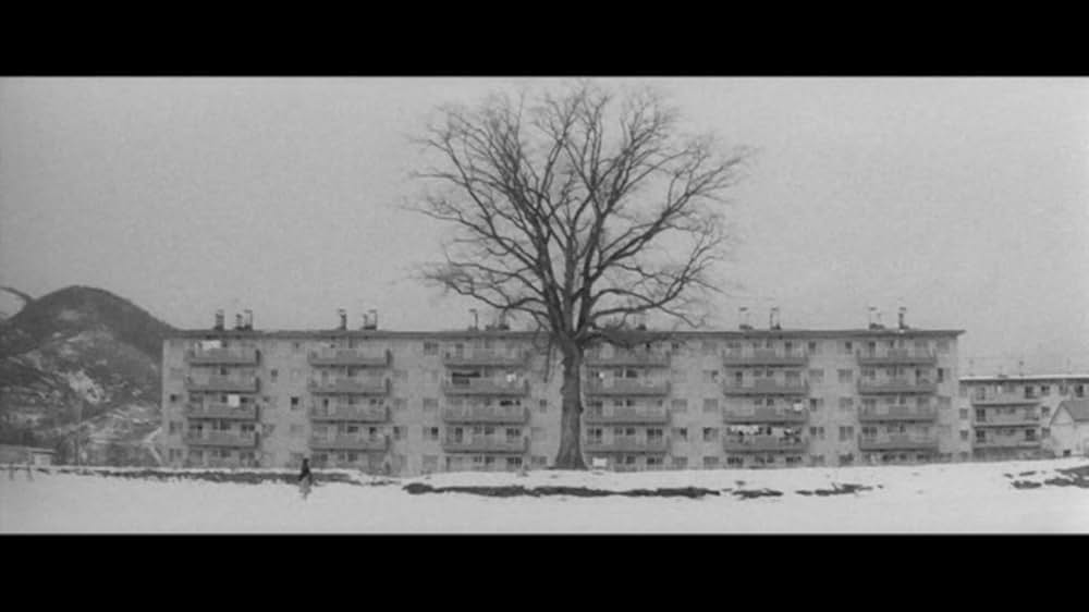 樹氷のよろめきの画像