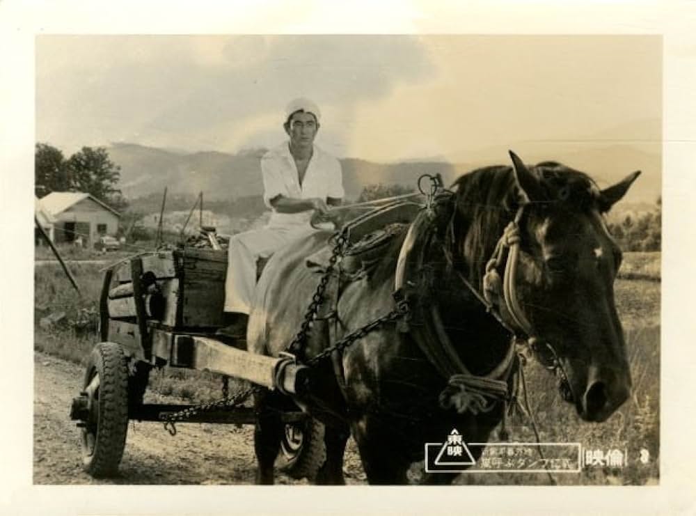 新網走番外地 嵐呼ぶダンプ仁義の画像