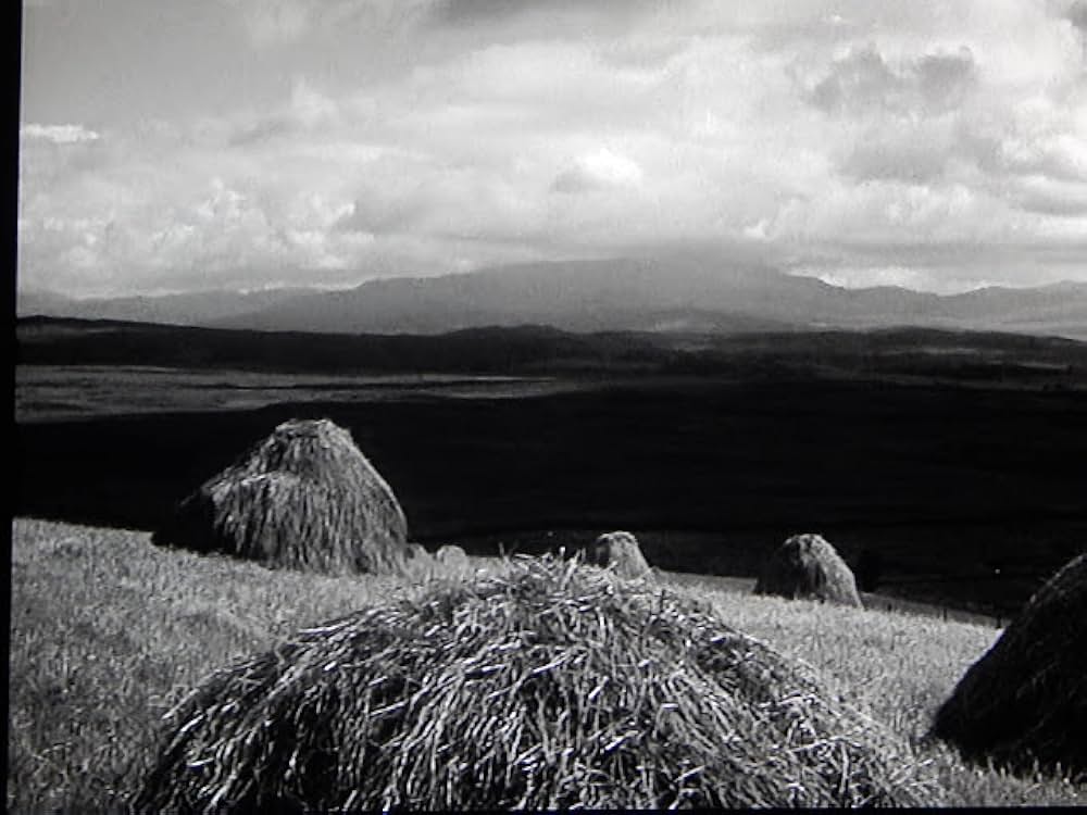 果てなき逃亡の画像