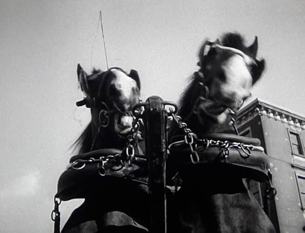 果てなき逃亡の画像