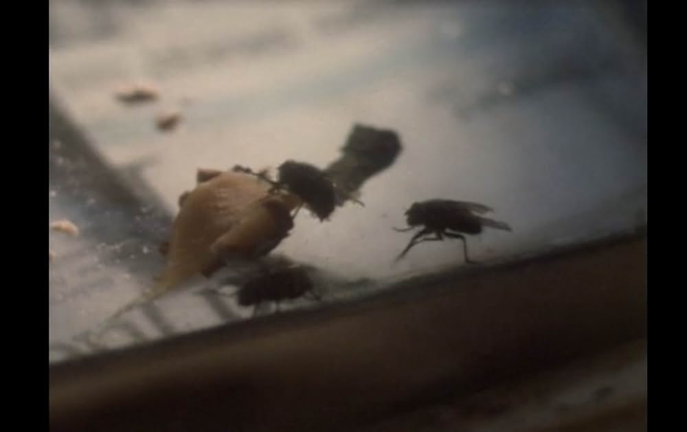 ナイトメアン／子供たちの百物語の画像