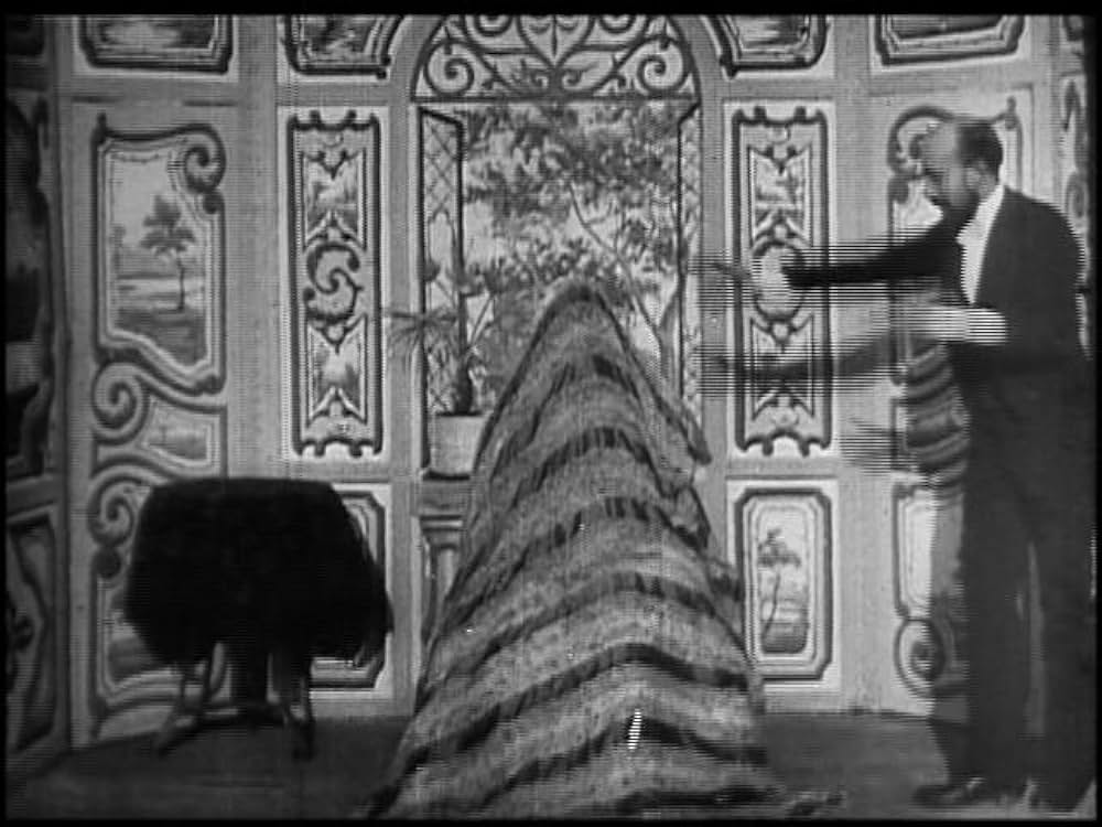 ロベール・ウーダン劇場における婦人の雲隠れの画像