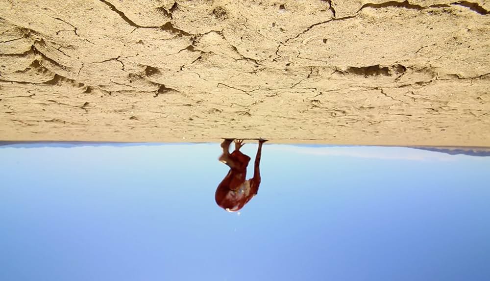 The Outwaters（原題）の画像