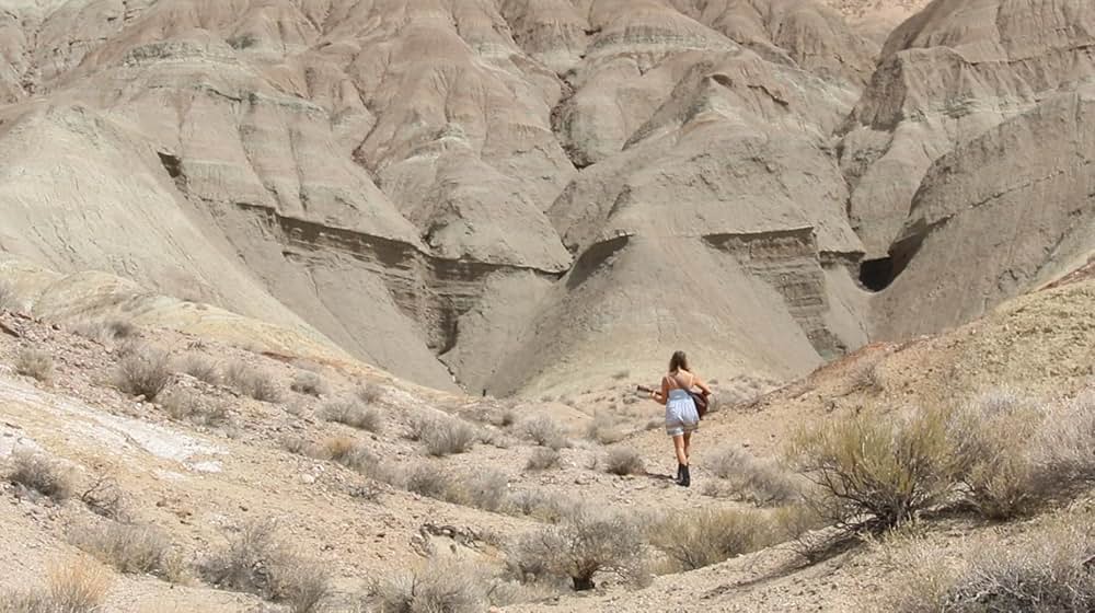 The Outwaters（原題）の画像