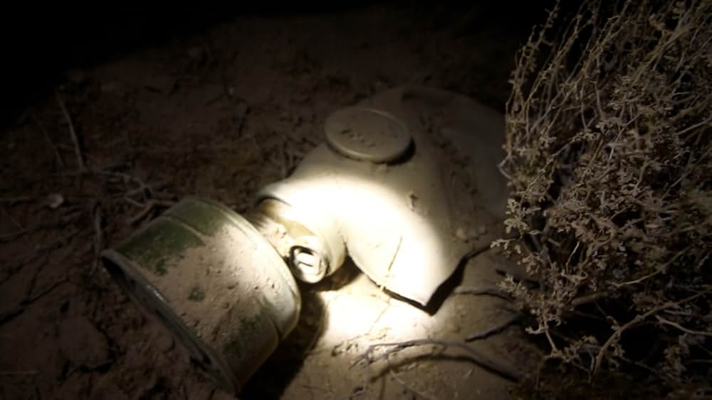 The Outwaters（原題）の画像