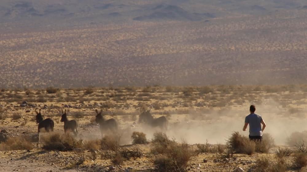 The Outwaters（原題）の画像