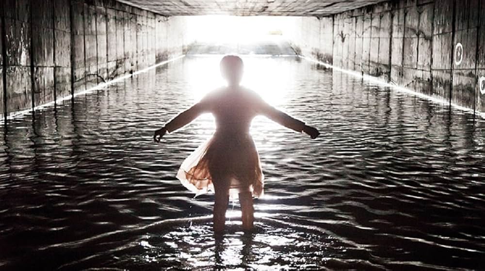 天空のからだの画像