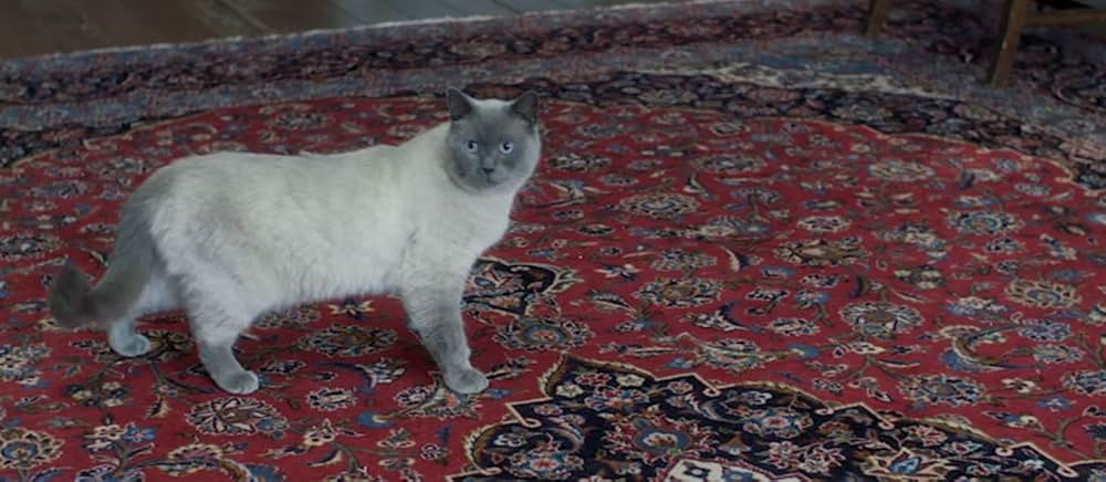 ザ・プロジェクト 瞬・間・移・動の画像