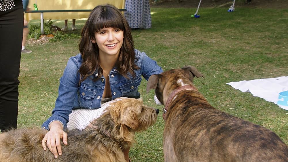 Dog Days（原題）の画像