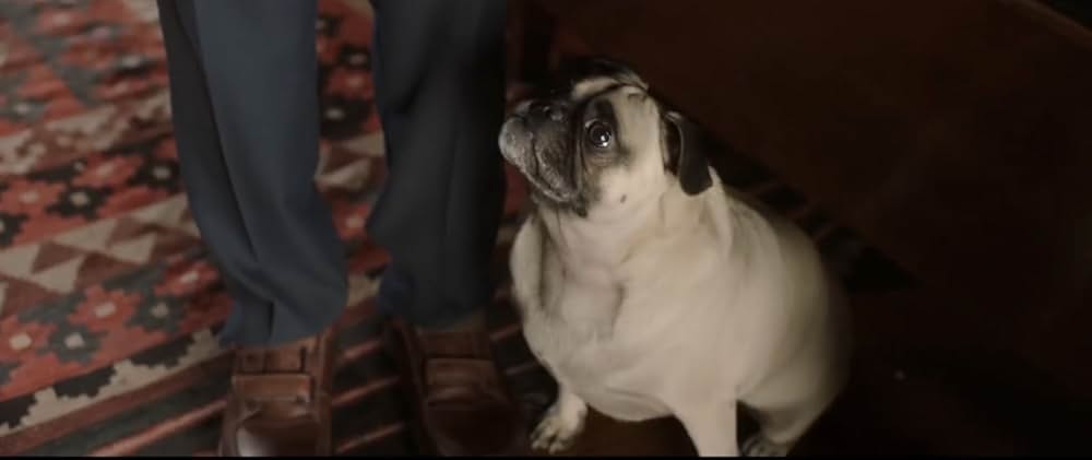 Dog Days（原題）の画像