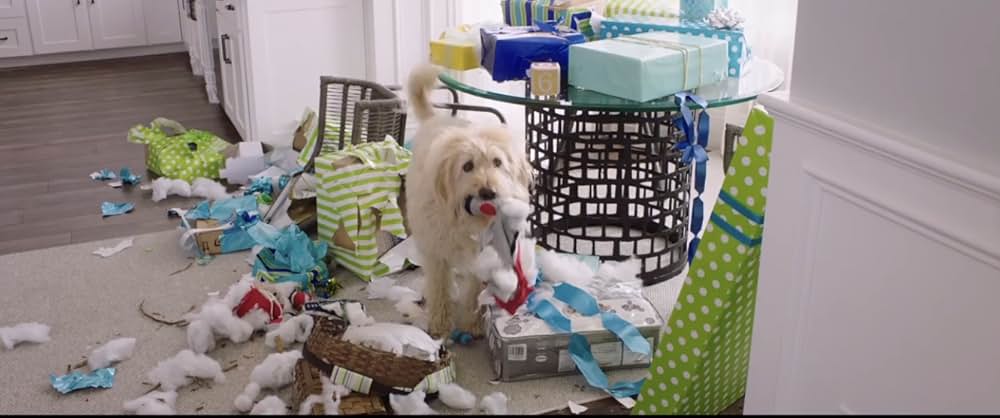 Dog Days（原題）の画像