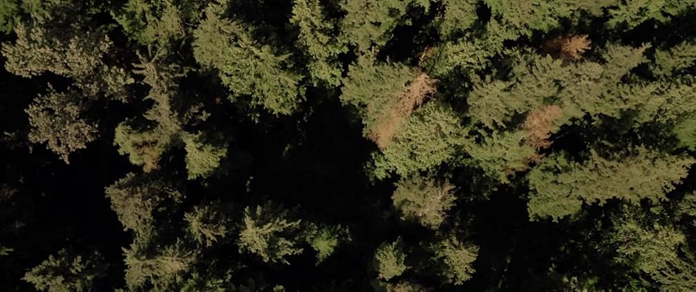 バディゲームの画像