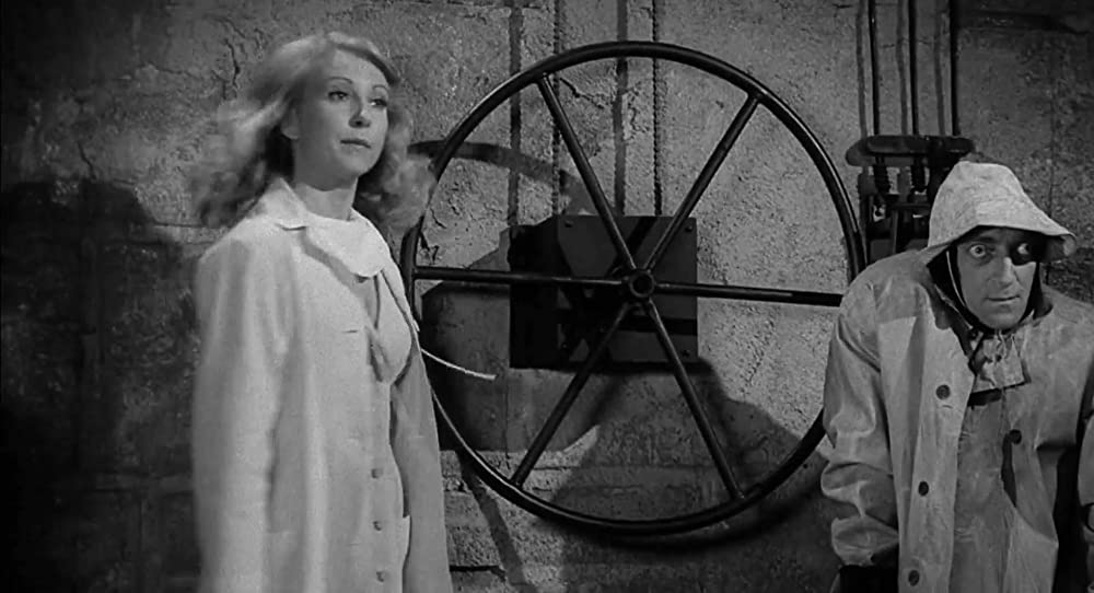 ヤング・フランケンシュタインの画像