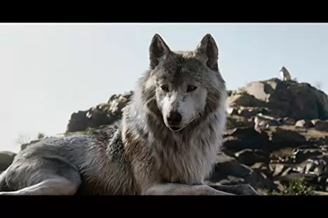 「ジャングル・ブック」ルピタ・ニョンゴの画像