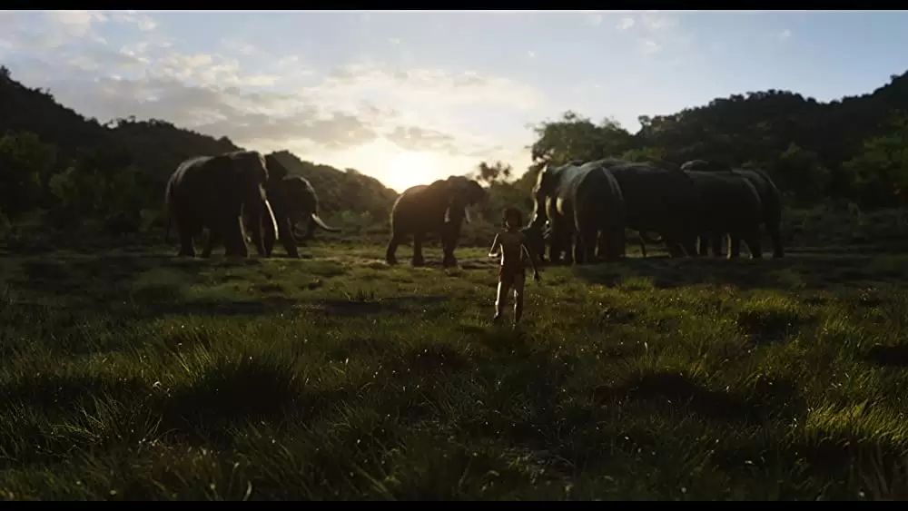 「ジャングル・ブック」ニール・セディの画像