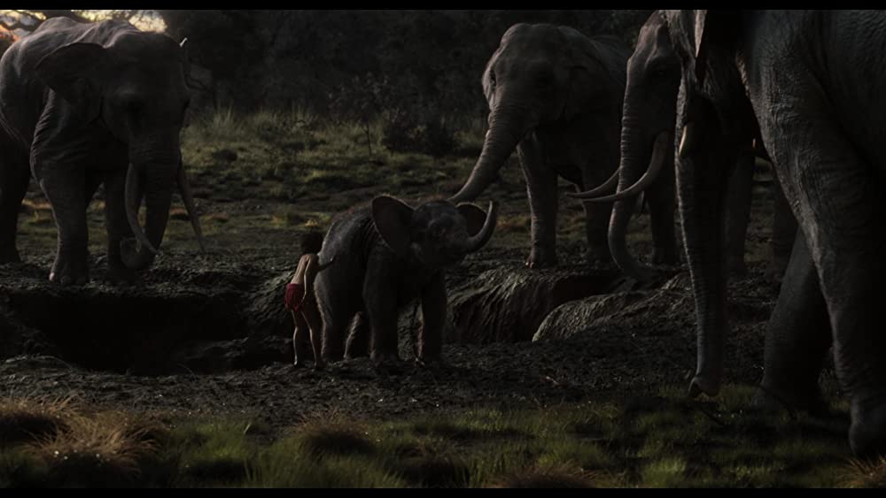 ジャングル・ブックの画像