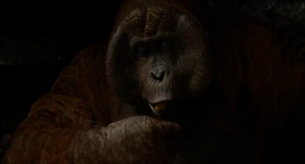 ジャングル・ブックの画像