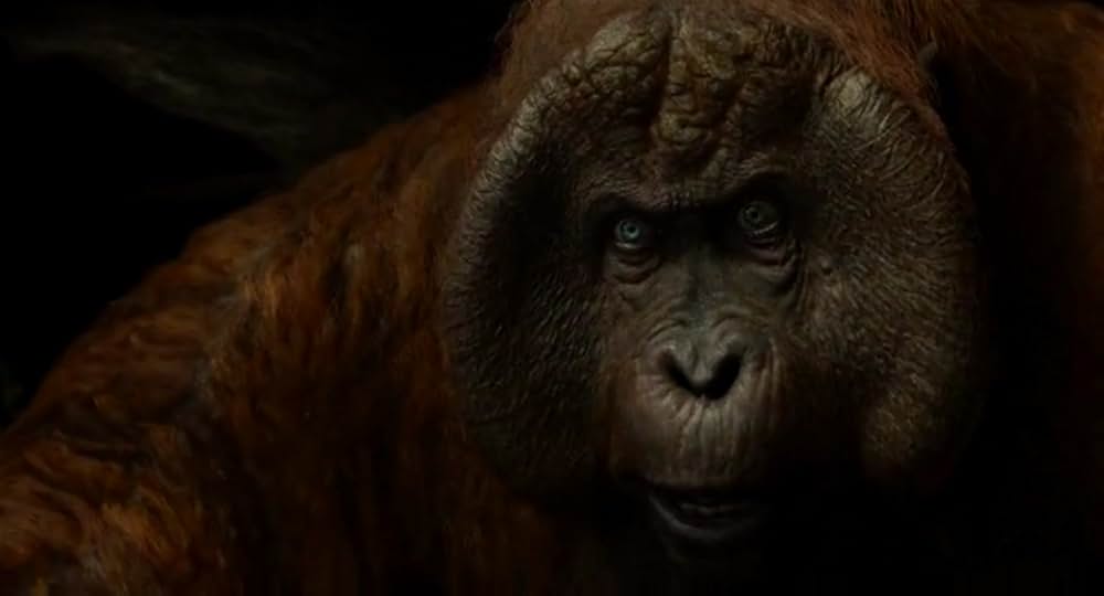 ジャングル・ブックの画像