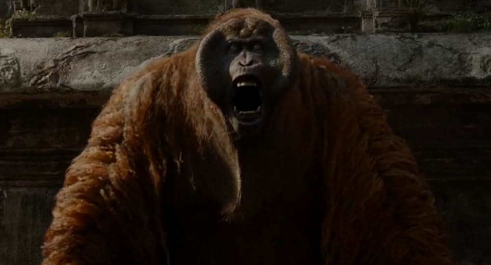 ジャングル・ブックの画像