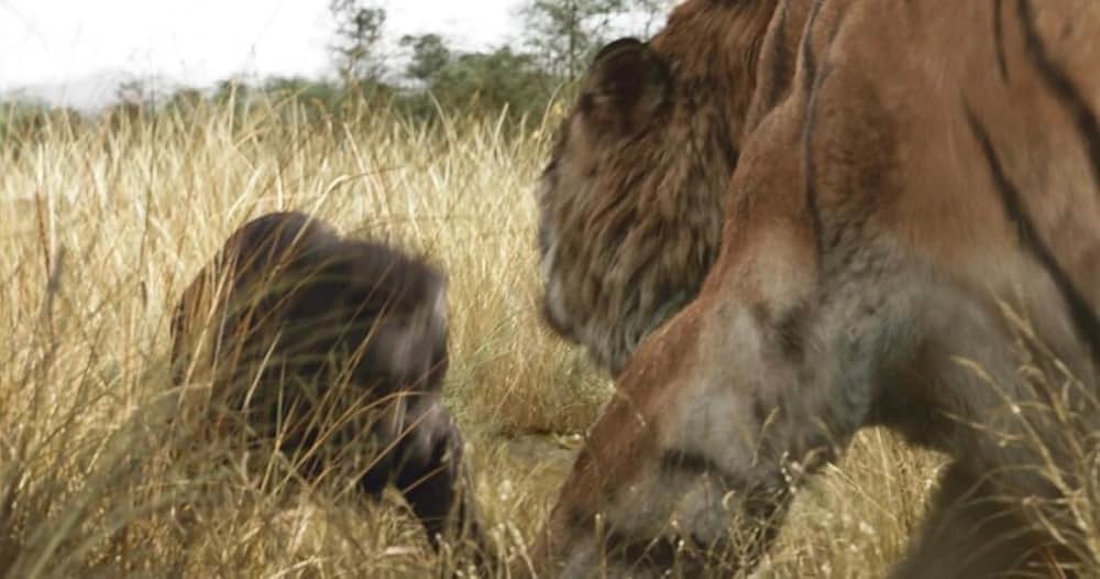 ジャングル・ブックの画像