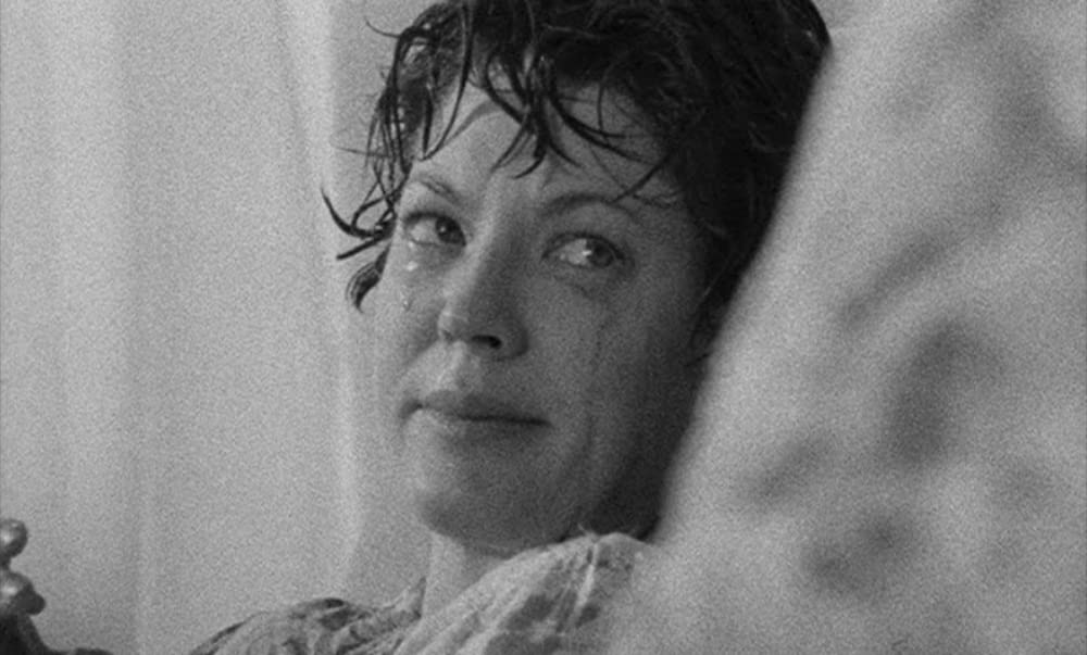 フェイシズの画像