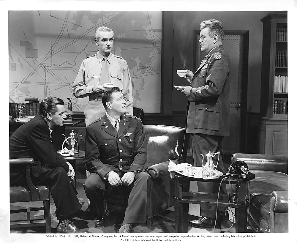 ジェット・パイロットの画像