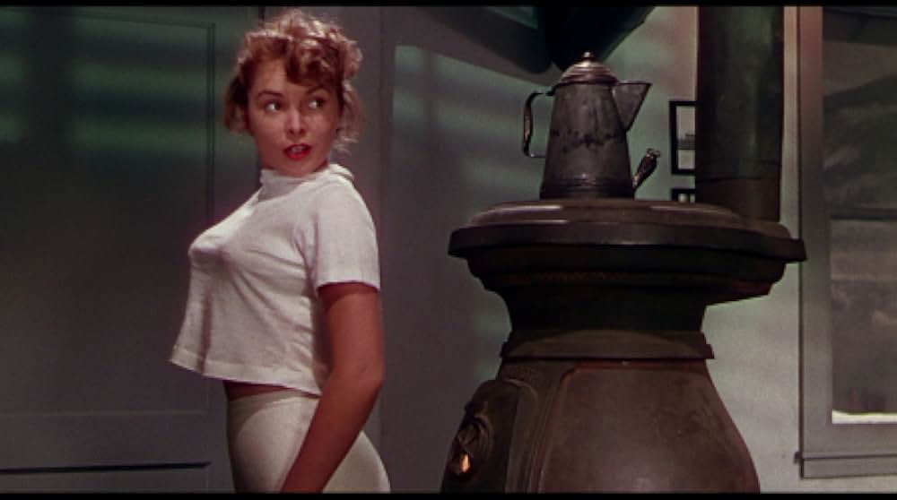 ジェット・パイロットの画像